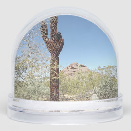 Sonoran Desert Snow Globe Schneekugeln