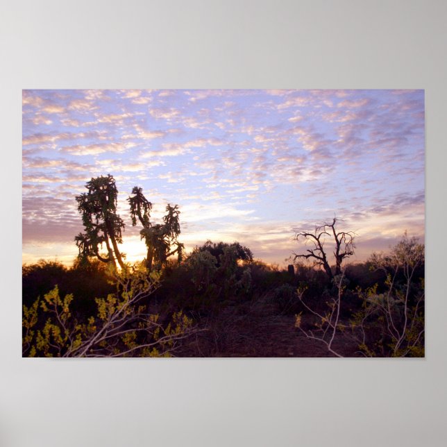 Sonoran Sunset Poster (Vorne)
