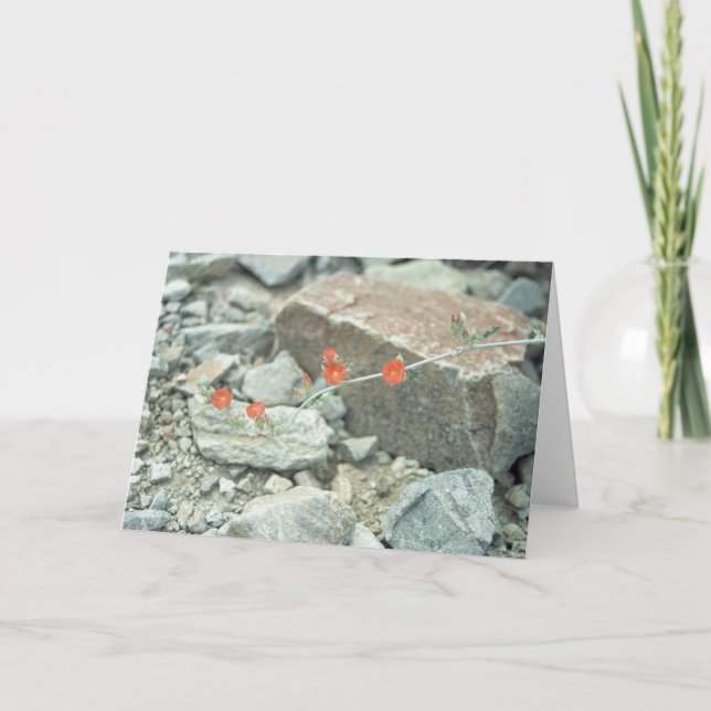Sonoran Wüste blüht Grußkarte oder Note Card Karte (Vorderseite)