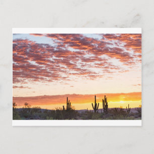 Sonoran Wüste farbenfroher Sonnenaufgang Morgen Postkarte