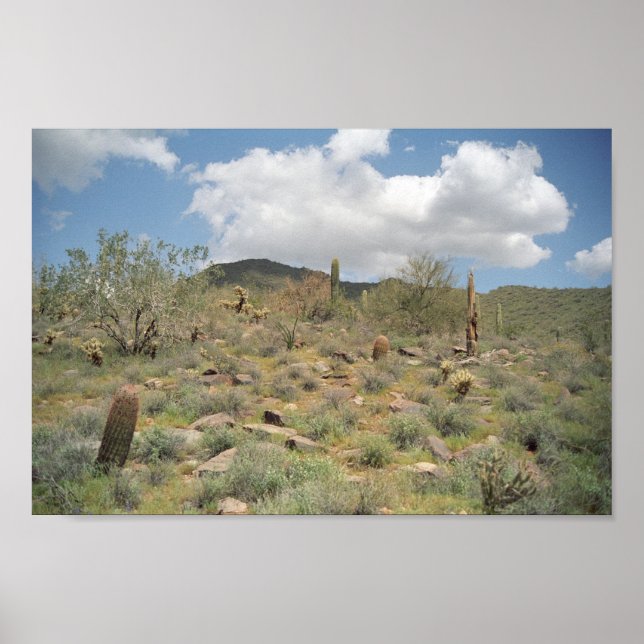 Sonoran Wüste Pastorale Art Print Foto Poster (Vorne)