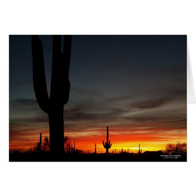 Sonoran Wüste Sonnenuntergang Arizona mit saguaro  (Vorderseite (Horizontal))