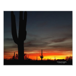 Sonoran Wüste Sonnenuntergang Arizona mit saguaro  Fotodruck