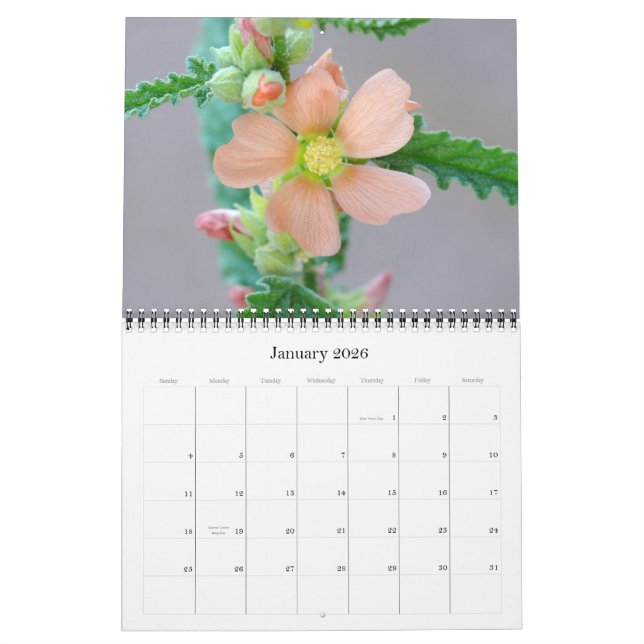 Sonoran-Wüstenkalender 2008 Kalender (Jan 2026)