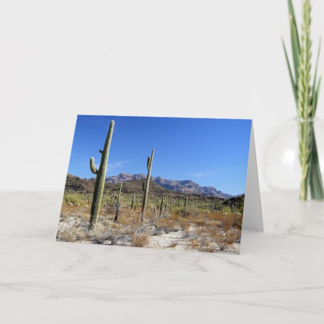 Sonoran-Wüstenlandschaft 13 Karte (Vorderseite)
