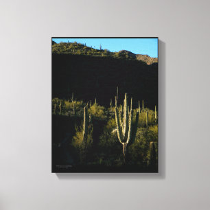 Sonoran-Wüstenlandschaft mit Giant Saguaro Cactus Leinwanddruck