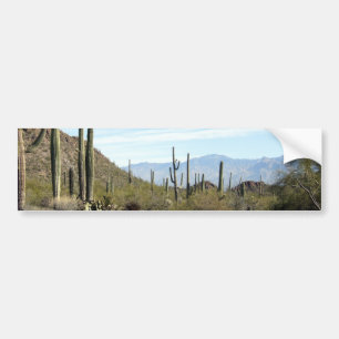 Sonoran Wüstenszene 02 Autoaufkleber