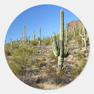 Sonoran Wüstenszene 03 Runder Aufkleber