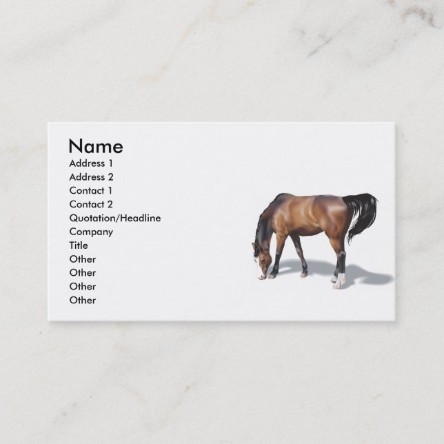 Sonstige017 , Name, Anschrift 1, Anschrift 2, Kont Visitenkarte (Vorderseite)