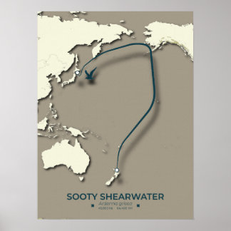 Sooty Shearwater Migration Map - Minimalistisch Poster