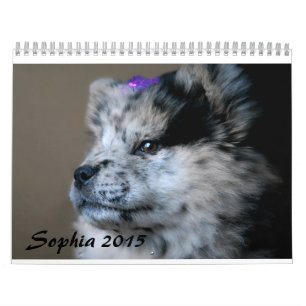 Sophia 2015 Custom Chow Calendar Kalender