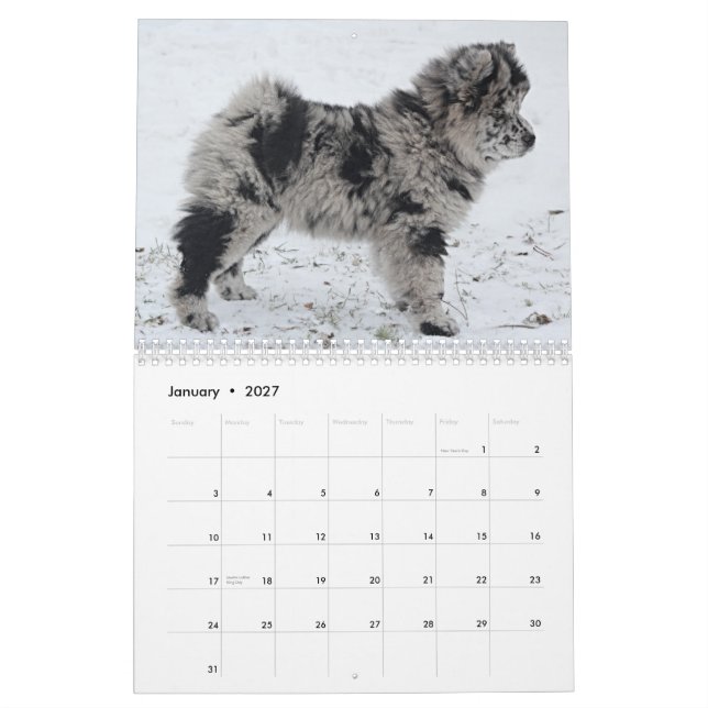 Sophia 2015 Custom Chow Calendar Kalender (Jan 2027)