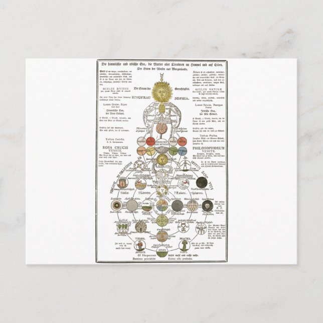 Sophia - um den Geist zu verändern Postkarte (Vorderseite)