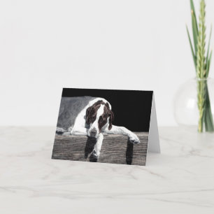 "Sophie" - Englische Pointer Card Karte