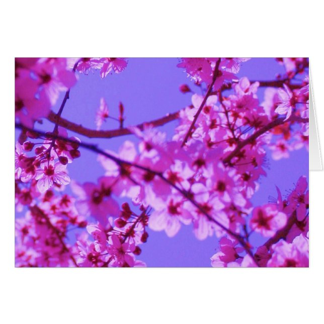 Sophie Karten-Schablone (Vorderseite (Horizontal))