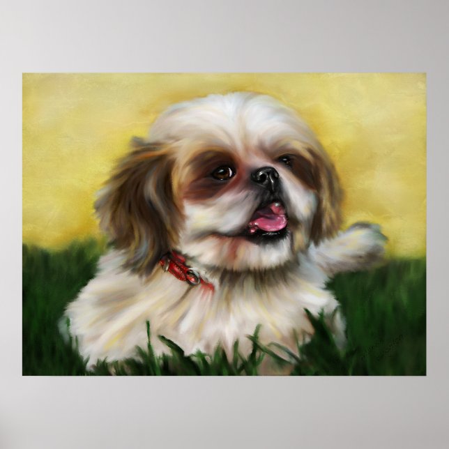 Sophie Shih Tzu Poster (Vorne)