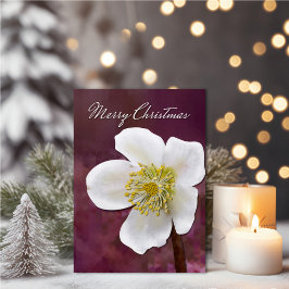 Sophisticierte High-Poly-Winterrosen-Kunst-Weihnac Karte