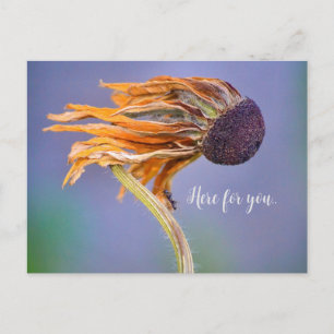 Sorge und Mitgefühl hier für dich Postkarte