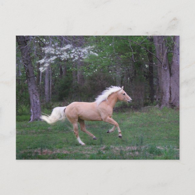 Sorgfalt gibt frei postkarte (Vorderseite)