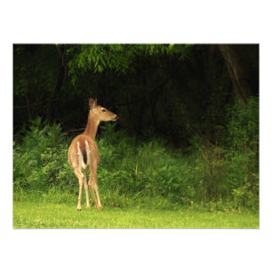 Sorgfältige Überlegung Fotodruck