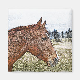 Sorrel Pferde Portrait Equine Art Illustration Magnet
