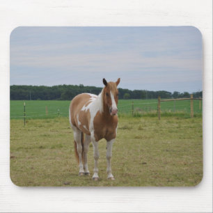 Sorrel Tobiano Paint Horse Mousepad