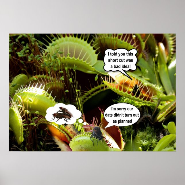 Sorry about our date. poster (Vorne)