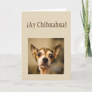 Sorry ¡Ay Chihuahua! Fun Chihuahua Dog Karte