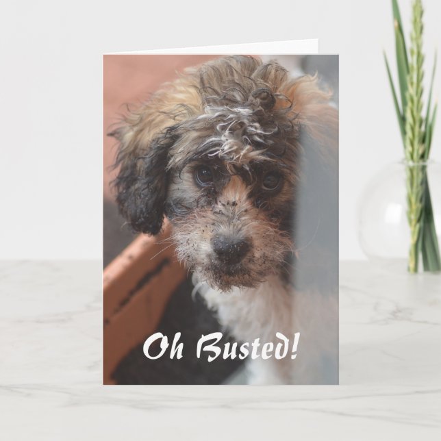 Sorry Card Karte (Vorderseite)