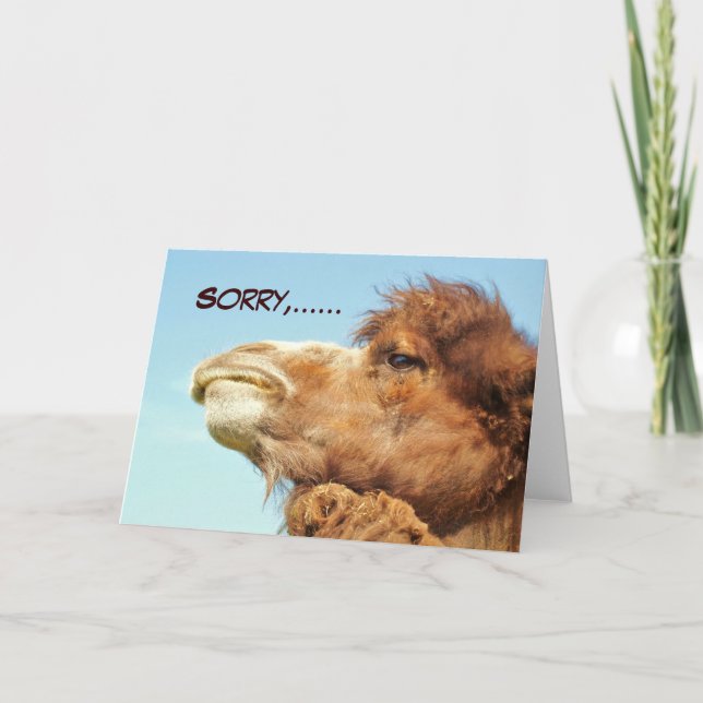 Sorry - Card Karte (Vorderseite)