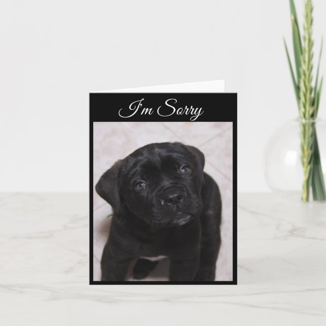 Sorry Card - Mastiff Puppy Karte (Vorderseite)
