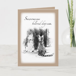 Sorry, dass Hund ist krank, Katz & Hund Aussehen W Karte