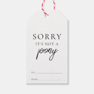 Sorry, es ist kein Pony Funny Weihnachten Geschenkanhänger