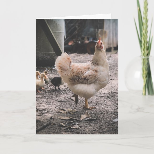 Sorry for being such a chook karte (Vorderseite)