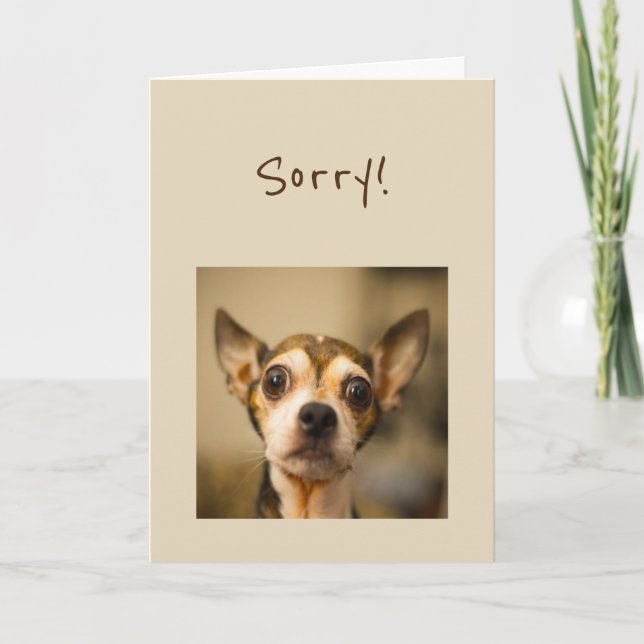 Sorry Fun Chihuahua Dog Karte (Vorderseite)