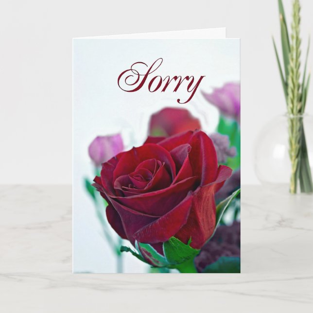 Sorry Karte mit rote Rose (Vorderseite)