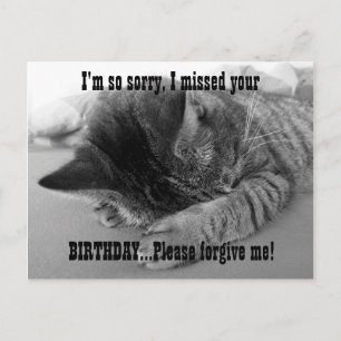 Sorry Kitten Postkarte