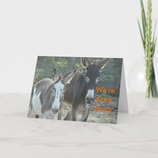 Sorry Mules-Customizing Karte (Vorderseite)