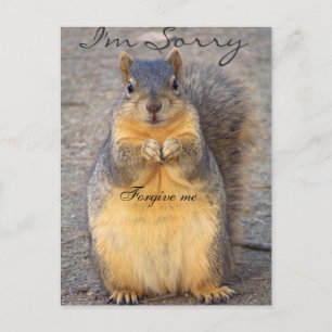 Sorry_ Postkarte