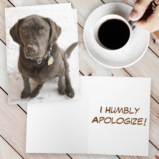Sorry Schokolade Labrador Retriever Dog Foto Karte (chocolate lab cover template text inside)