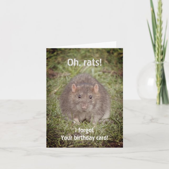 Sorry verspäteter Geburtstag - Ratten Karte (Vorderseite)