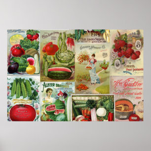 Sortenkatalog für Obst und Gemüse Poster