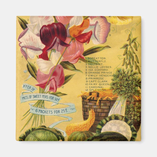 Sortenmagnet Magnet (Vorne)