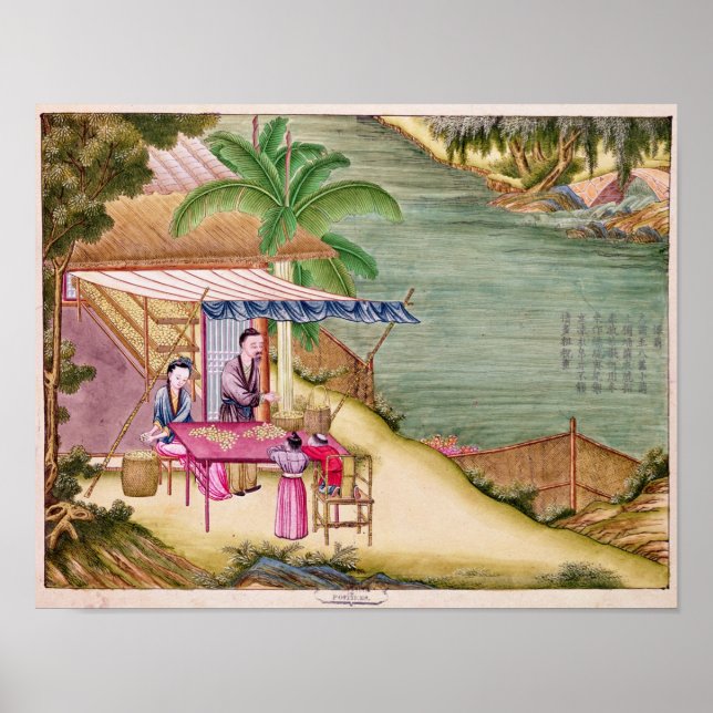 Sortieren der Kokons Poster (Vorne)