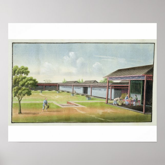 Sortieren kleiner Blätter zum Trocknen (w/c auf Pa Poster (Vorne)