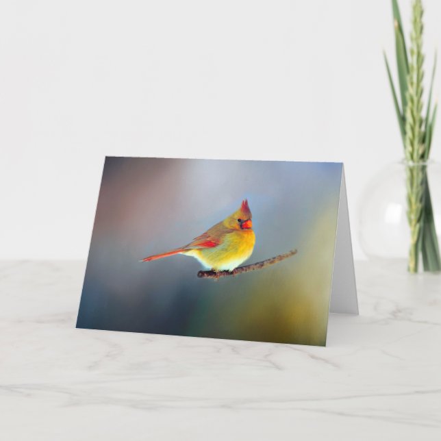 Sortierte Mitteilungskarten (Vorderseite)