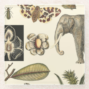 Sortierte Tiere gemalt auf Sahnehintergrund Glasuntersetzer