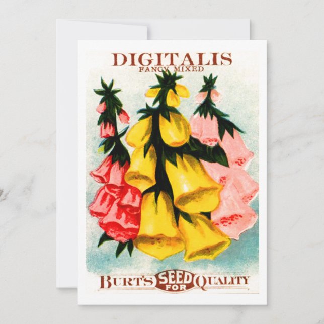 Sortiertes Fingerhut-Fingerhut-Samen-Paket Einladung (Vorderseite)