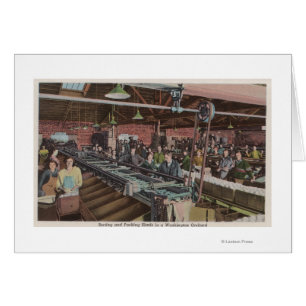 Sortierungs- und Verpackungsfabrik und -arbeiter (