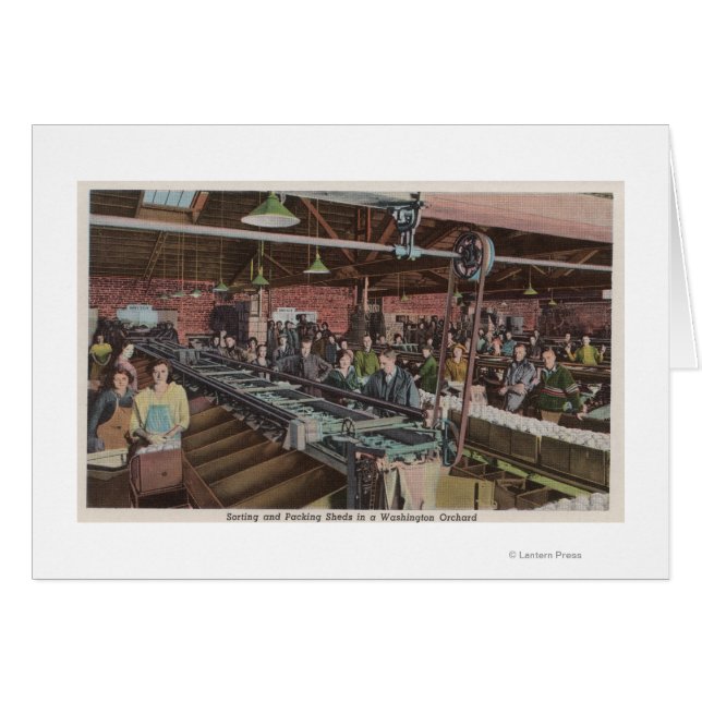 Sortierungs- und Verpackungsfabrik und -arbeiter ( (Vorderseite (Horizontal))